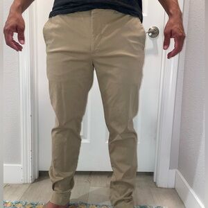 Express Chino Pants